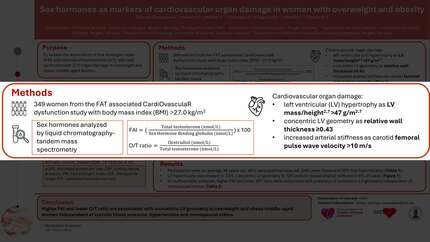 Presentation thumbnail