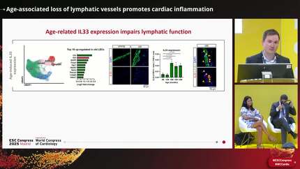 Presentation thumbnail