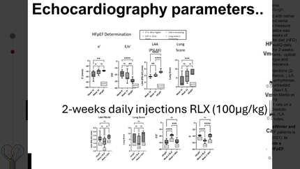 Daily Subcutaneous injections of Relaxin is a therapy for heart failure with preserved ejection fraction