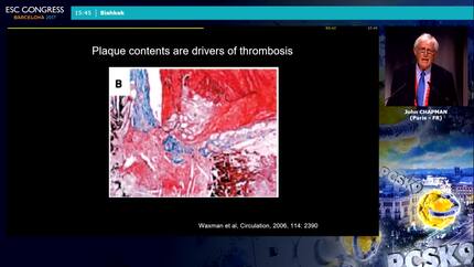 Presentation thumbnail