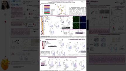 Employing epi-drugs to rescue lung microenvironmental changes in heart failure with preserved ejection fraction
