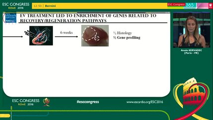 Presentation thumbnail
