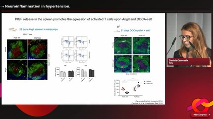 Presentation thumbnail