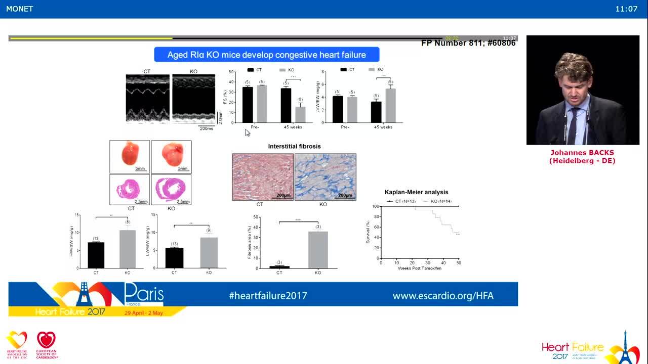 Basic and translational science.