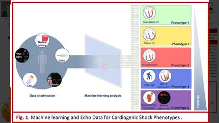 Presentation thumbnail