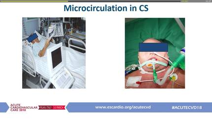 Presentation thumbnail