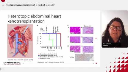 Presentation thumbnail