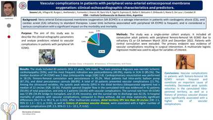 Presentation thumbnail