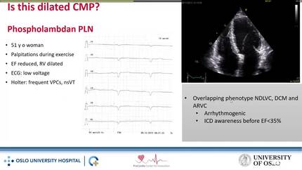 Presentation thumbnail