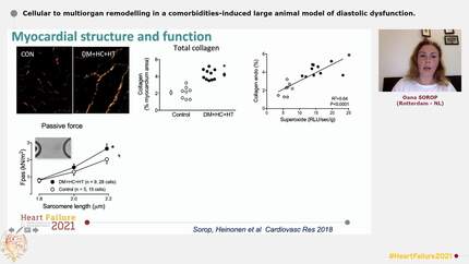 Cellular to multiorgan remodelling in a comorbidities-induced large animal model of diastolic dysfunction.