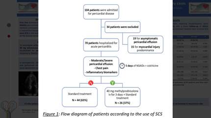 Presentation thumbnail