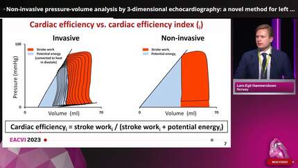 Non-invasive pressure-volume analysis by 3-dimensional echocardiography: a novel method for left ventricular stroke work estimation