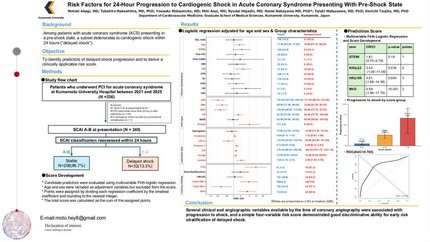 Risk factors for 24-hour progression to cardiogenic shock in acute coronary syndrome presenting with pre-shock state