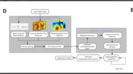 Noninvasive diagnosis of ischemia non-obstructive coronary  using machine learning-assisted magnetocardiography