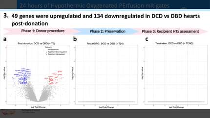Presentation thumbnail