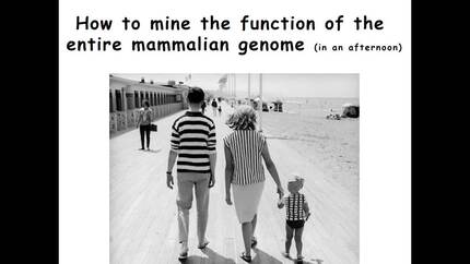 Presentation thumbnail