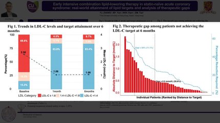 Early intensive combination lipid-lowering therapy in statin-naïve acute coronary syndrome: real-world attainment of lipid targets and analysis of therapeutic gaps