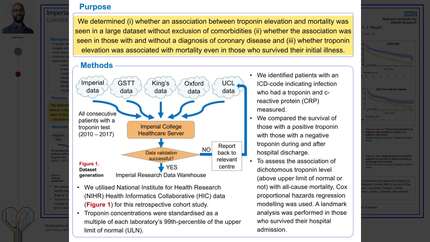 Presentation thumbnail