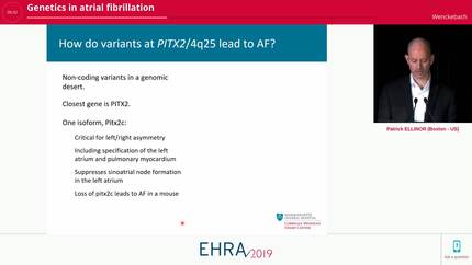 Genetics in atrial fibrillation