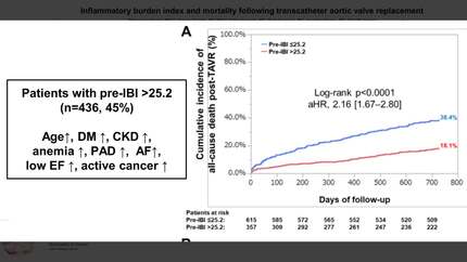 Inflammatory burden index and mortality following transcatheter aortic valve replacement