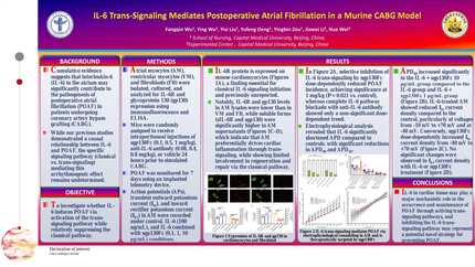 Presentation thumbnail