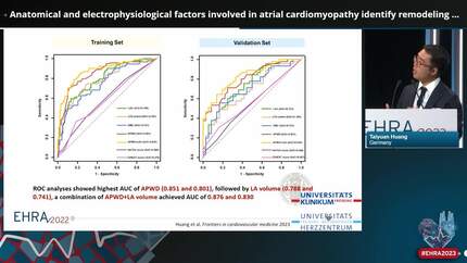 Anatomical and electrophysiological factors involved in atrial cardiomyopathy identify remodeling discrepancies between paroxysmal and persistent atrial fibrillation