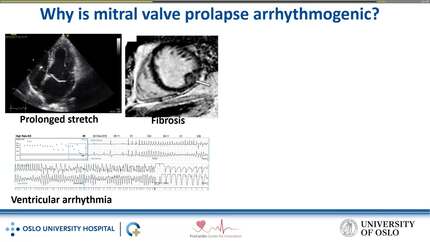 Presentation thumbnail