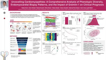 Unravelling cardiomyopathies: a comprehensive analysis of phenotypic diversity, endomyocardial biopsy patterns, and the impact of Gremlin-1 on clinical prognosis