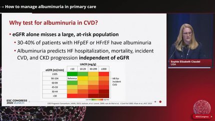 Albuminuria as a clinical compass: guideline-driven approaches to cardiorenal protection