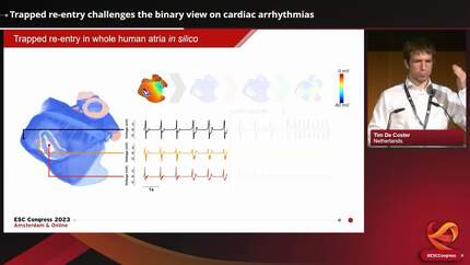 Presentation thumbnail