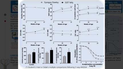 Presentation thumbnail