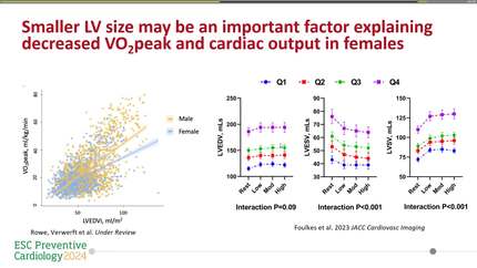Exercise for the prevention of anthracycline-induced cardiac dysfunction: different between sexes?