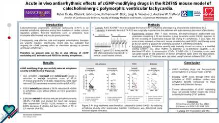 Presentation thumbnail