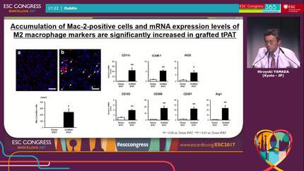 Presentation thumbnail