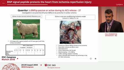BNP signal peptide protects the heart from ischemia-reperfusion injury