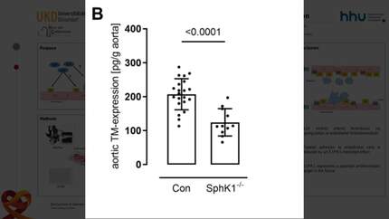S1P receptor-1 signaling reduces arterial thrombosis by upregulation of endothelial thrombomodulin expression