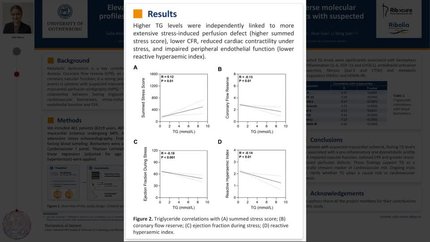 Elevated fasting triglyceride levels are associated with adverse molecular profiles and impaired functional imaging measures in patients with suspected myocardial ischemia