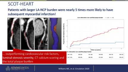 Presentation thumbnail