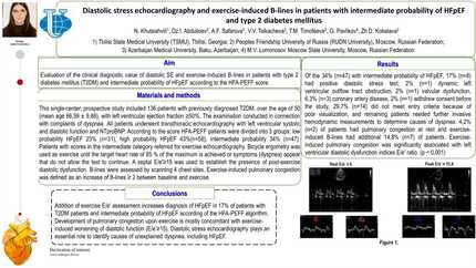 Diastolic stress echocardiography and exercise induced B lines in patients with intermediate probability of HFpEF and type 2 diabetes mellitus