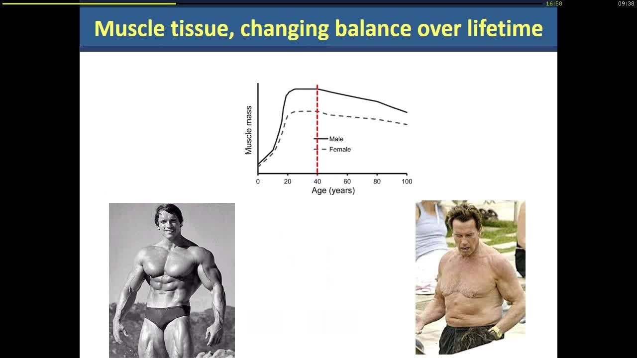 Presentation thumbnail