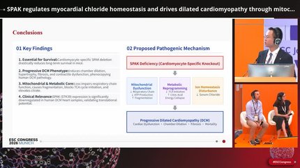 Mitochondrial function and metabolic remodelling in heart disease 