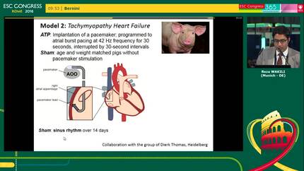 Presentation thumbnail