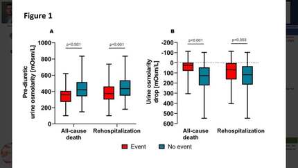 The impact of prediuretic urine osmolarity and urine osmolarity change on long-term outcomes in acute heart failure patients during early decongestion