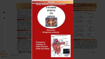 Efficacy and safety of endovascular ablation in splanchnic nerve in patients with heart failure with preserved ejection fraction: a systematic review and meta-analysis