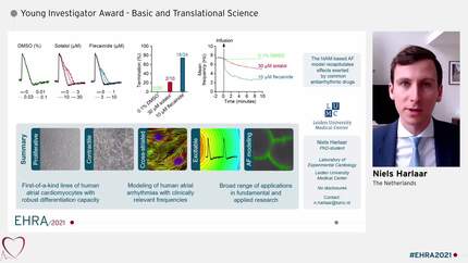 Modelling of atrial fibrillation at physiologically relevant scales enabled by massive expansion of native human atrial cardiomyocytes