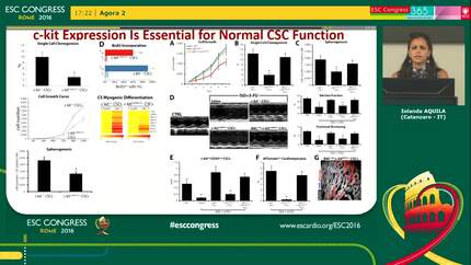 c-kit/CreERT2 knock-in allele does not efficiently fate-track c-kit positive resident cardiac stem cells and impairs their regenerative potential
