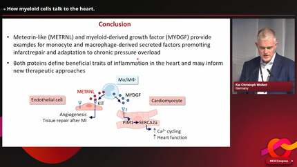 Paracrine communication: exosomes and beyond