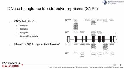 The Q222R deoxyribonuclease 1 single nucleotide polymorphism independently predicts mortality in patients with coronary artery disease after ST-elevation myocardial infarction