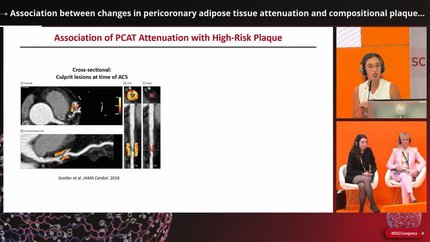 Advanced cardiac computed tomography phenotyping: artificial intelligence for plaque, perfusion, and cardiometabolic risk