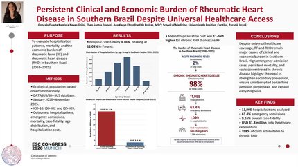 Persistent clinical and economic burden of rheumatic heart disease in southern Brazil despite universal and broad healthcare access